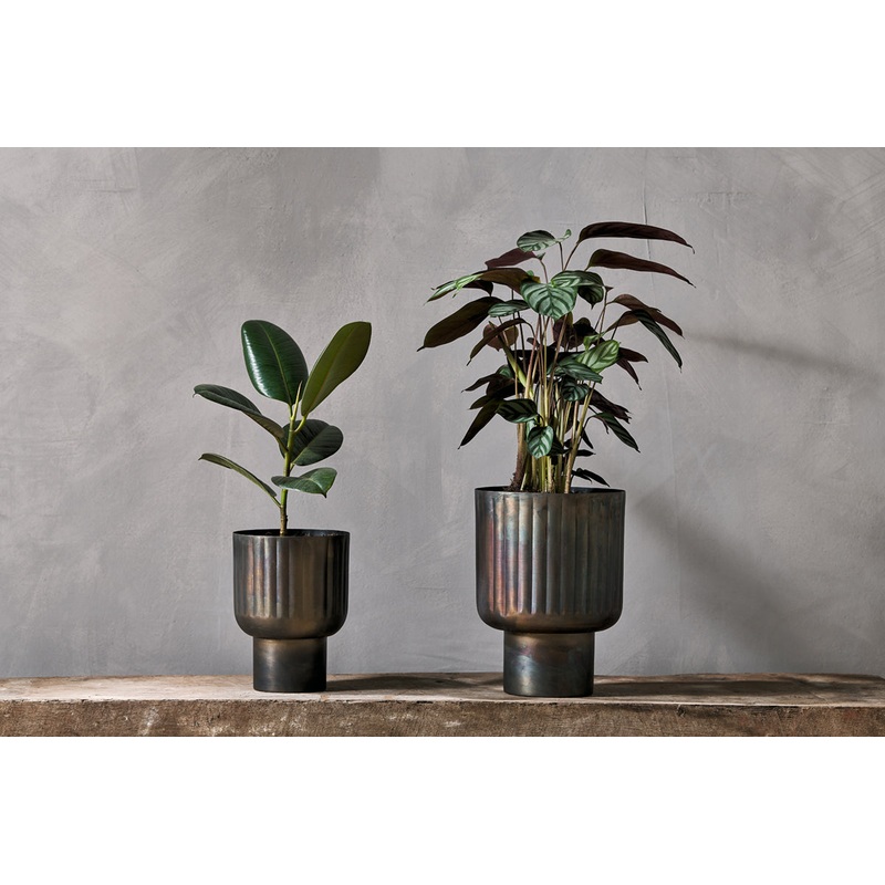Dasalla Planter – Aged Brass Antique Brass