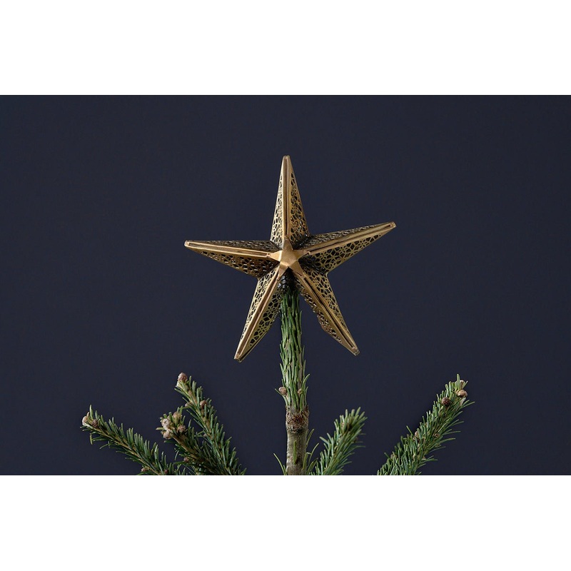 Bishakha Star Tree Topper Brass