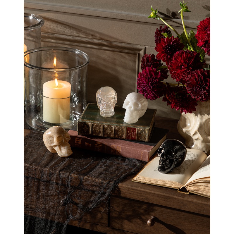 Assorted Resin Skulls (Boxed Set of 4)